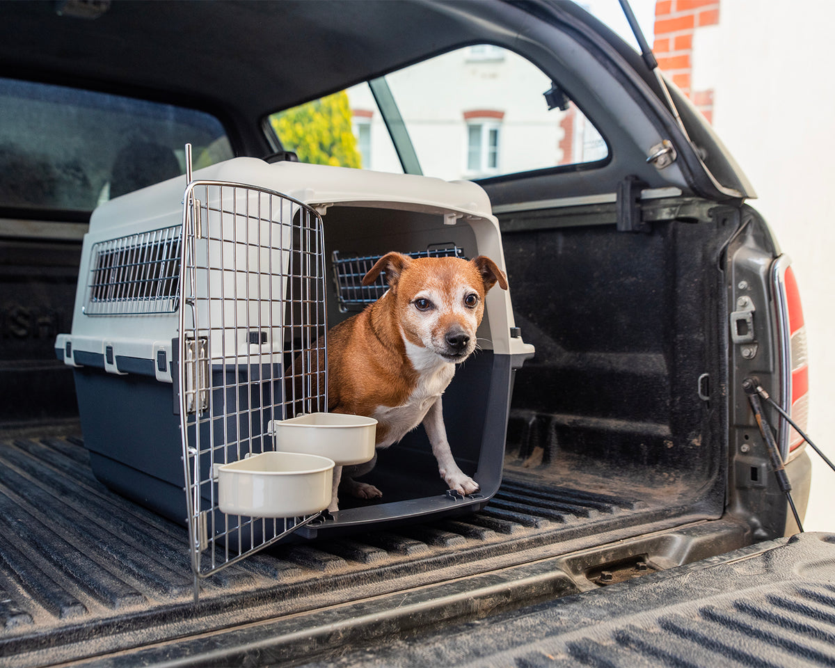 Henry Wag IATA Approved Air Kennel for Dog – henrywagindia