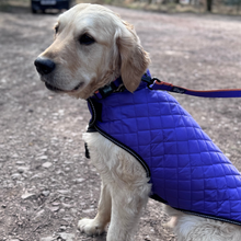 Load image into Gallery viewer, Standard Dog Lead