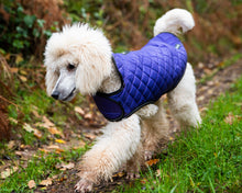 Load image into Gallery viewer, Henry Wag Purple Quilted Dog Jacket
