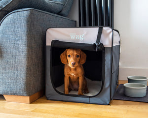 Henry Wag Folding Fabric Travel Crates