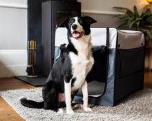 Load image into Gallery viewer, Henry Wag Folding Fabric Travel Crates