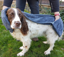 Load image into Gallery viewer, Henry Wag Pet Glove Towel