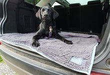 Load image into Gallery viewer, Henry Wag Microfiber Mat for Pet Dog