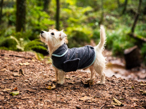 Henry Wag Microfiber Drying Coats