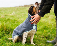Load image into Gallery viewer, Henry Wag Microfiber Drying Coats