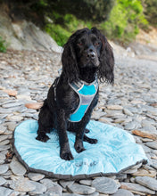 Load image into Gallery viewer, Henry Wag Alpine Travel Snuggle Dog Bed