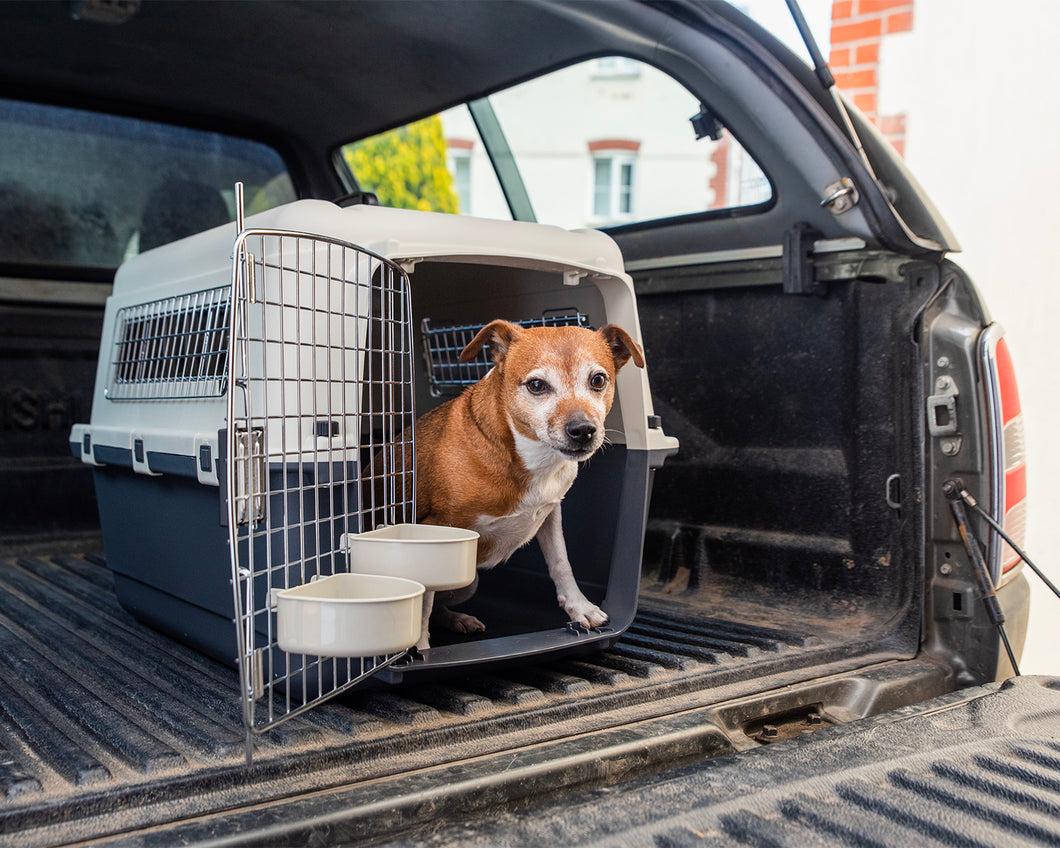 Henry Wag IATA Approved Air Kennel for Dog