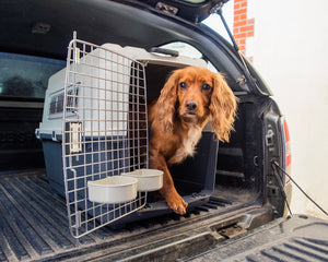 Henry Wag IATA Approved Air Kennel for Dog