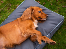 Load image into Gallery viewer, Henry Wag Brecon Adventure Bed