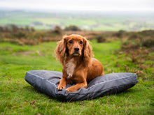 Load image into Gallery viewer, Henry Wag Brecon Adventure Bed