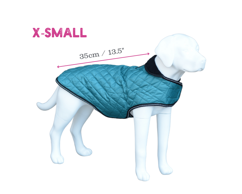 Henry Wag Teal Quilted Dog Jacket