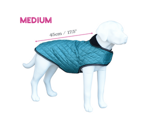 Henry Wag Teal Quilted Dog Jacket
