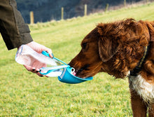 Load image into Gallery viewer, Pet Water Bottle With Leaf Bowl