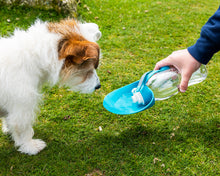Load image into Gallery viewer, Pet Water Bottle With Leaf Bowl
