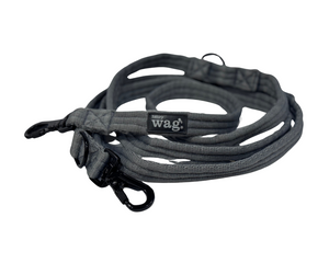 Henry Wag Dog Training Lead
