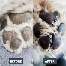 Load image into Gallery viewer, Henry Wag Pet Paw Cleaner
