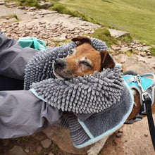 Load image into Gallery viewer, Henry Wag Quick Dry Noodle Glove Towel for Pet