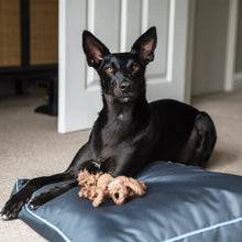 Load image into Gallery viewer, Henry Wag Brecon Adventure Bed