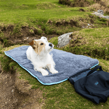 Load image into Gallery viewer, Easy-Roll Travel Pet Bed