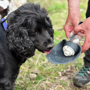 Pet Water Bottle With Leaf Bowl