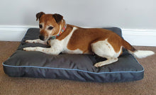 Load image into Gallery viewer, Henry Wag Brecon Adventure Bed