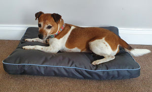 Henry Wag Brecon Adventure Bed