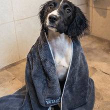 Load image into Gallery viewer, Henry Wag Water Absorbent Microfiber Towel for Dog