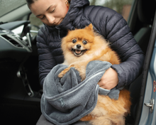 Load image into Gallery viewer, Henry Wag Water Absorbent Microfiber Towel for Dog