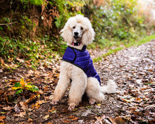 Load image into Gallery viewer, Henry Wag Purple Quilted Dog Jacket