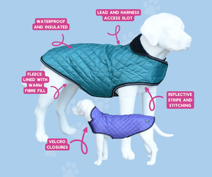 Henry Wag Teal Quilted Dog Jacket