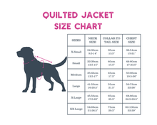 Load image into Gallery viewer, Henry Wag Teal Quilted Dog Jacket