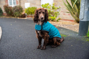 Henry Wag Teal Quilted Dog Jacket