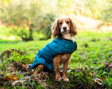 Load image into Gallery viewer, Henry Wag Teal Quilted Dog Jacket