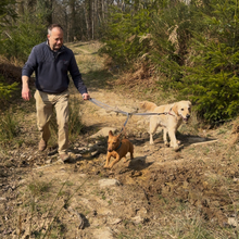 Load image into Gallery viewer, Henry Wag Dog Training Lead