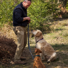Load image into Gallery viewer, Henry Wag Dog Training Lead