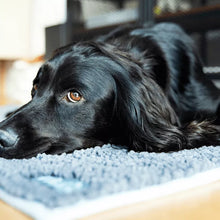 Load image into Gallery viewer, Henry Wag Microfiber Mat for Pet Dog