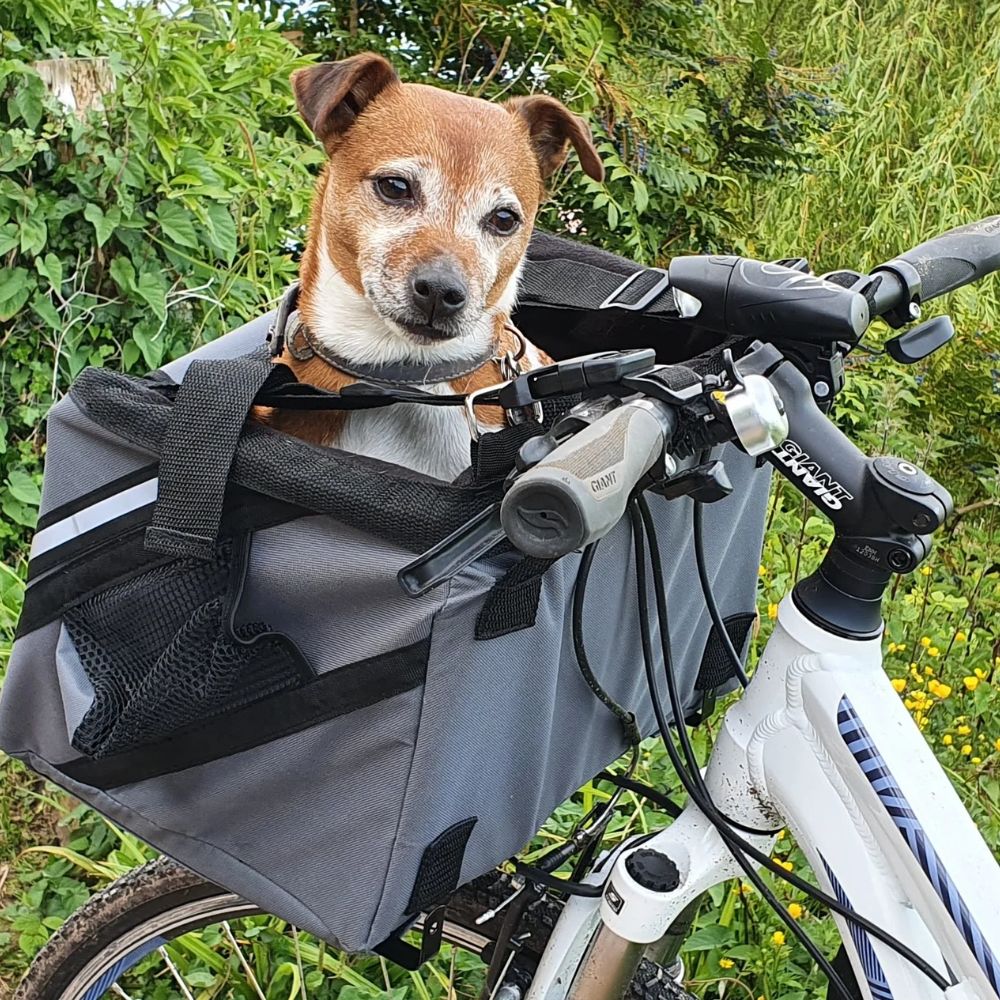 Henry Wag Pet Pannier Bike Seat – henrywagindia