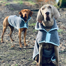 Load image into Gallery viewer, Henry Wag Microfiber Drying Coats