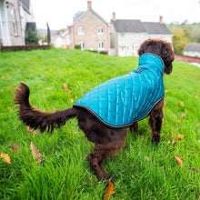 Load image into Gallery viewer, Henry Wag Quilted Winter Dog Jacket (Teal)