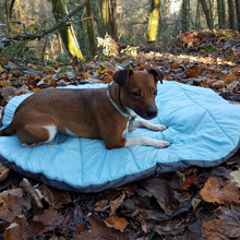 Load image into Gallery viewer, Henry Wag Alpine Travel Snuggle Dog Bed