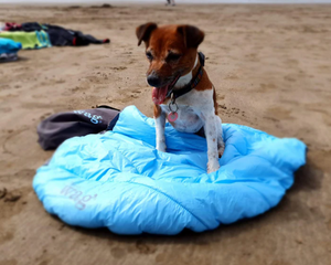 Henry Wag Alpine Travel Snuggle Dog Bed