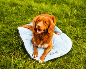 Henry Wag Alpine Travel Snuggle Dog Bed